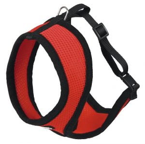 Active Harness