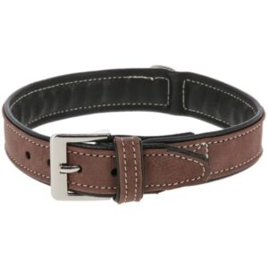 Hundhalsband California 32-38cm