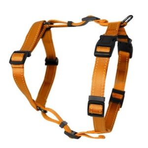 Kattsele H-modell Orange S