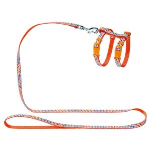 Kattsele Seventies Orange