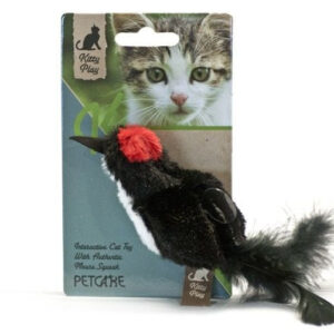 Kitty Play Squeaking Cat Toys - Black Bird