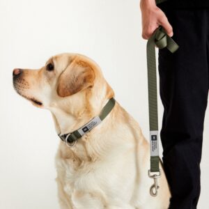 Makia Hundhalsband Grön (30-45 cm)