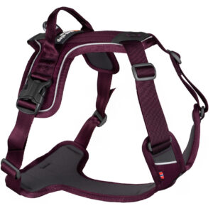 Ramble Harness - Lila / XS