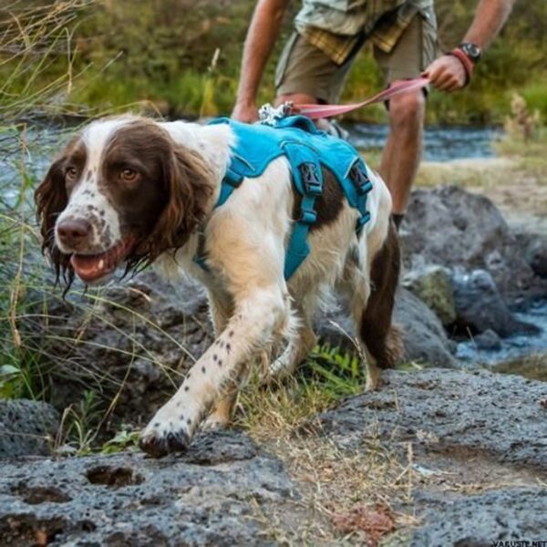 RuffWear Web Master Hundsele Blå (XXS)