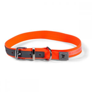 Feel Active Vattentätt Hundhalsband med Reflex Orange (2.5 x 60 - 68cm)