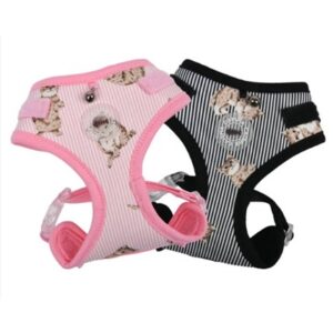 Catspia Moggy, S, Rosa