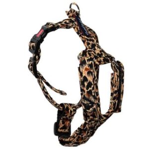 Kattsele Gustaf & Evita Strap Leopard, 3