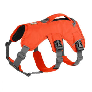 Ruffwear Web Master Hundsele Orange (XS)