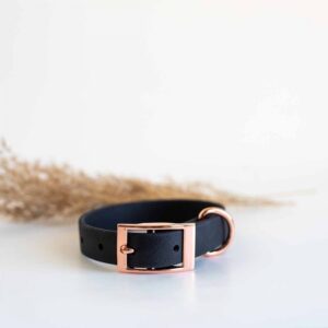 Tyylivoitto Classy Hundhalsband Svart (XXS)