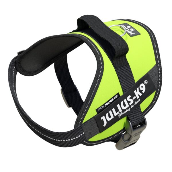 Julius-K9 IDC® Hundsele - UV Neon Green (Mini)