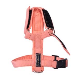 Kattsele Gustaf och Evita Strap Peach, 1