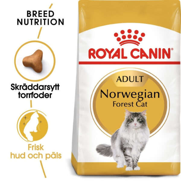 Royal Canin Norwegian (2 kg)