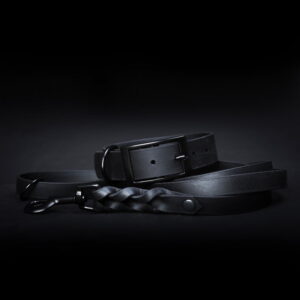 Tyylivoitto Classy Black on Black Hundhalsband Svart (XXS)