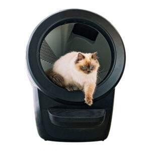 Whisker Litter-Robot 4 Elektronisk Kattlåda Svart