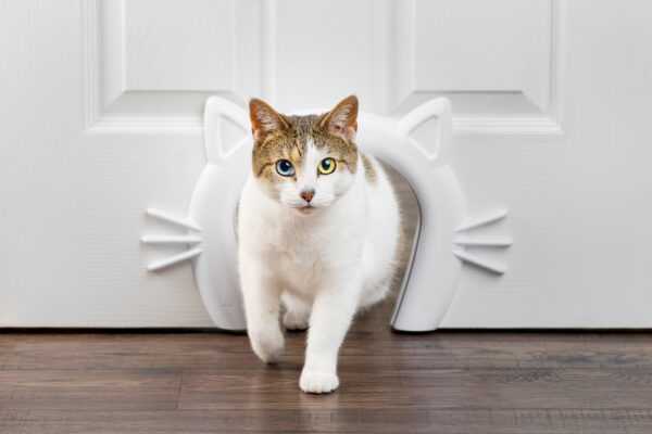 PetSafe Cat corridor - Kattdörr för inomhusbruk