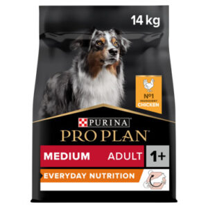 Medium Adult Everyday Nutrition hundfoder - 3 kg