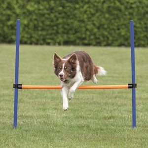 Agility Hopphinder till Hund - 123 x 115 cm