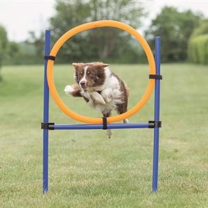 Agility Hoppring för Hundar - 78 x 65 x 115 cm