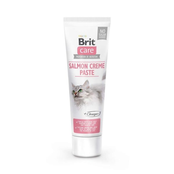 Brit Care Cat Paste Laxkräm 100 g