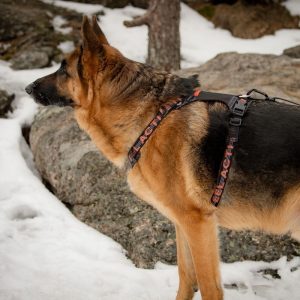 Feel Active Outdoor Hundsele med Ficka Svart (M)