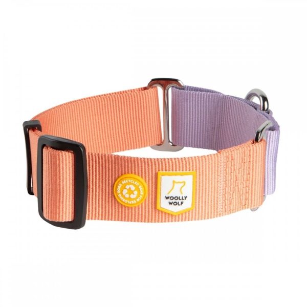 Woolly Wolf Color Block Hundhalsband Halvstryp Rosa (S)