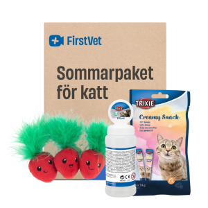 Sommarpaket för katt