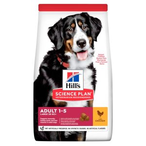 Adult Large Breed torrfoder med kyckling Hundfoder - 14 kg