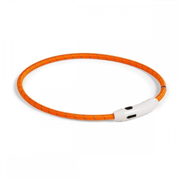 Basic LED-halsband till hund Nylon (Orange)