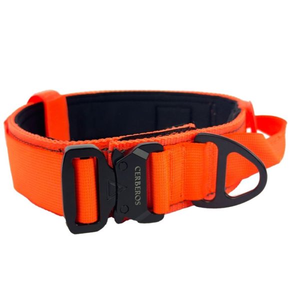 Cerberos Hundhalsband Orange (M)