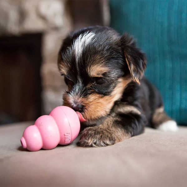 KONG Puppy Gummileksak - Small