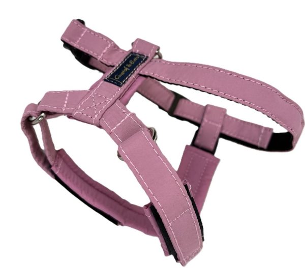 Kattsele Gustaf & Evita PRO Strap Gammelrosa 3+