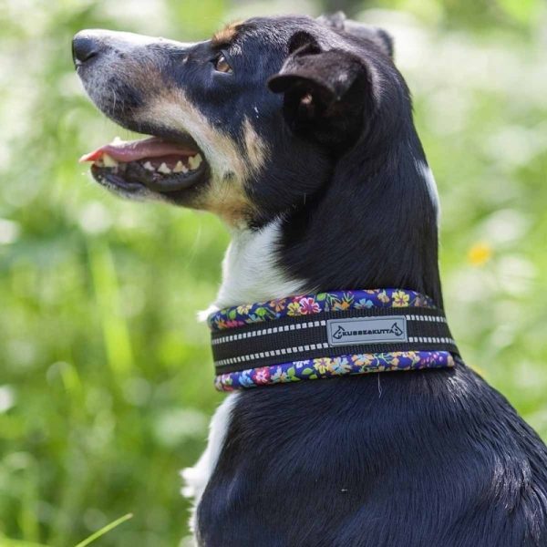 Kusse&Kutta Hundhalsband Lycra Bred Modell Blommor (6)