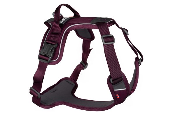 Ramble Harness - Lila / XS