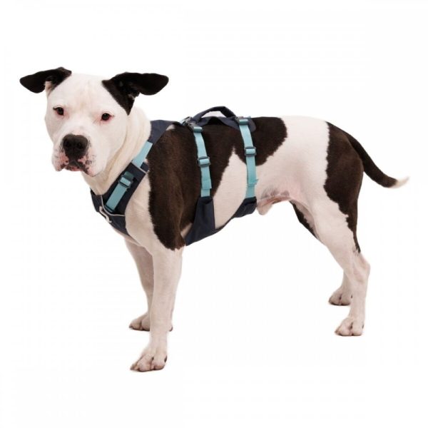 Ruffwear Flagline Hundsele Grå/Turkos (L-XL)