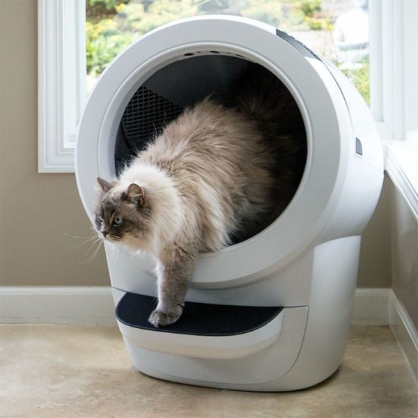 Whisker Litter-Robot 4 Självrengörande Kattlåda Vit