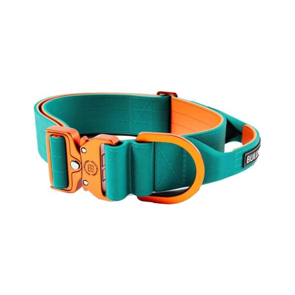 BullyBillow Combat Hundhalsband med Handtag Turkos och Orange 5 cm (M)