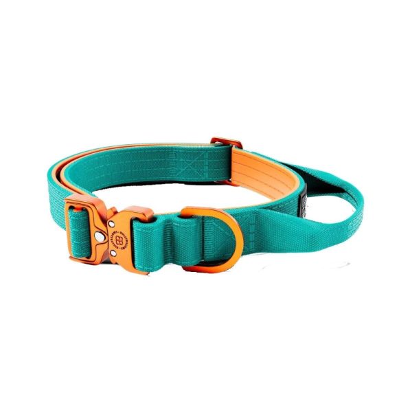 BullyBillows Combat Hundhalsband Turkos och Orange XS 2,5 cm