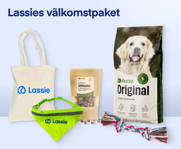 Lassies Välkomstpaket Vuxen - FirstVet Original