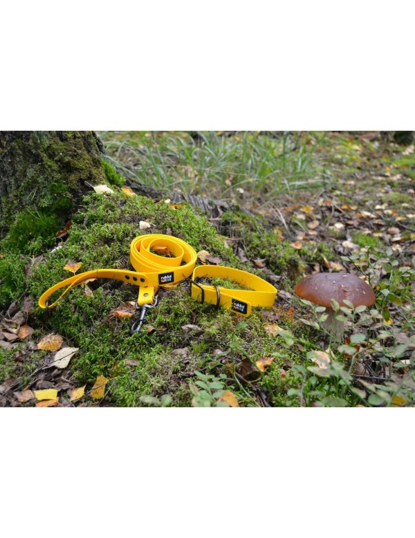 Biodipro Leash Hundkoppel - 180 cm x 15 mm