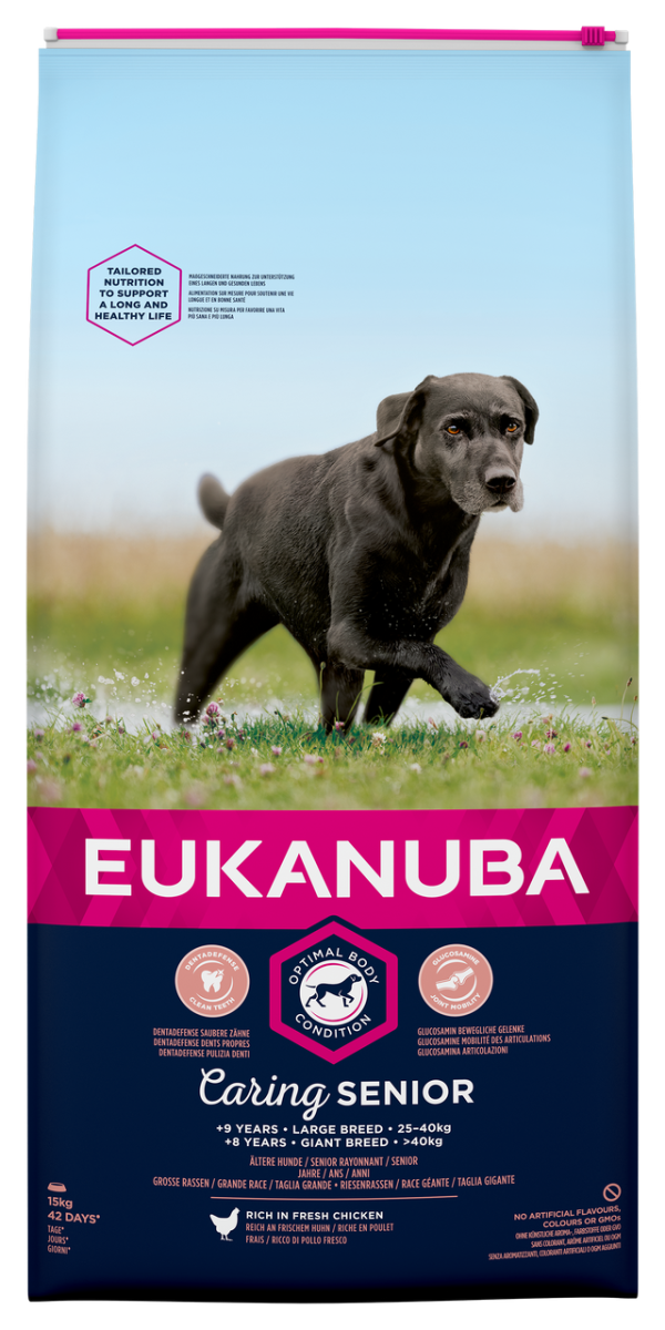 Dog Senior Large - 15 kg