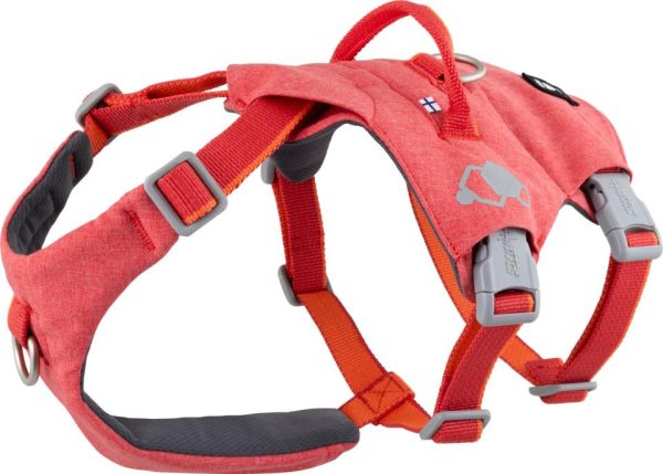 Hundsele ECO Safeguard - XS / Strawberry