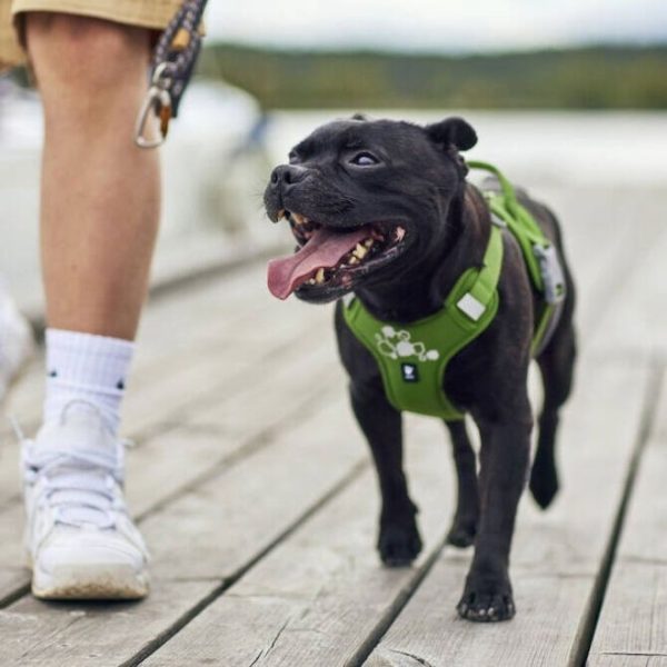 Hurtta Weekend Warrior II ECO Hundsele Grön (45-60)