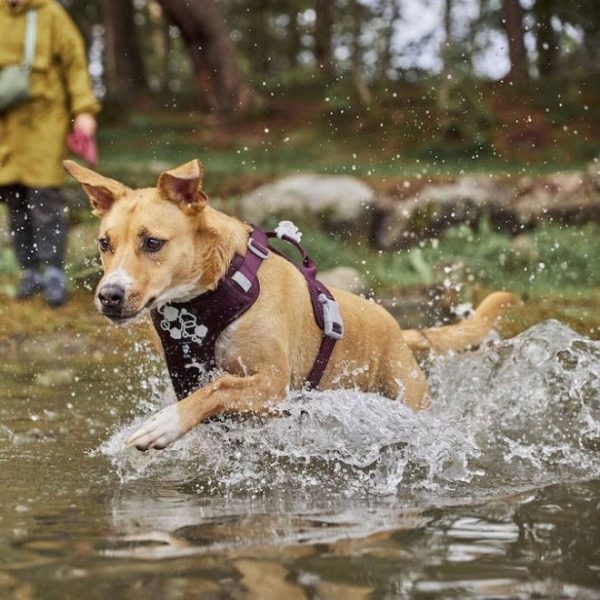 Hurtta Weekend Warrior II ECO Hundsele Lila (40-50)