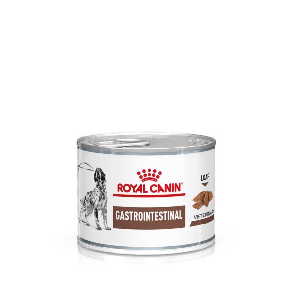 Veterinary Diets Gastrointestinal Loaf Can för hund - 12 x 200 g