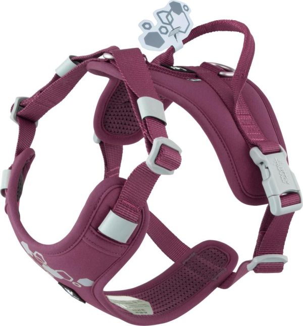 Weekend Warrior Hundsele II ECO - Eggplant / 65 - 80 cm
